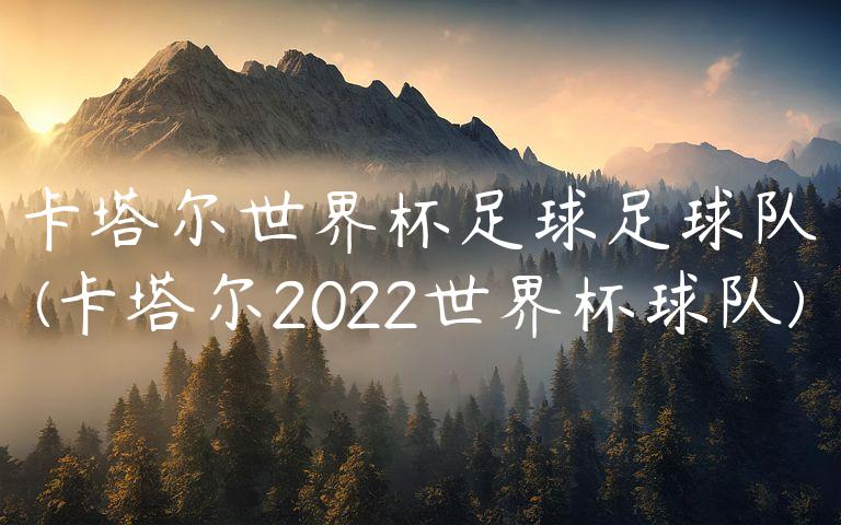 卡塔尔世界杯足球足球队(卡塔尔2022世界杯球队)