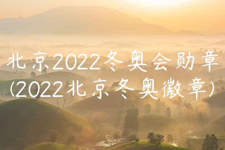 北京2022冬奥会勋章(2022北京冬奥徽章)