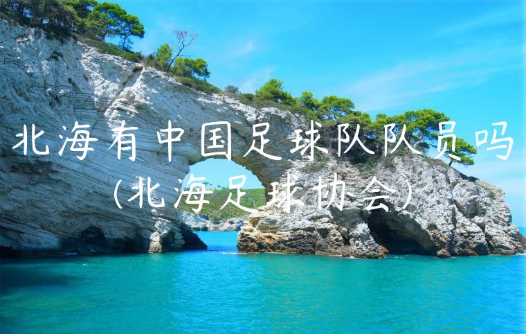 北海有中国足球队队员吗(北海足球协会)