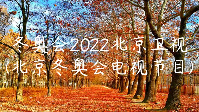 冬奥会2022北京卫视(北京冬奥会电视节目)