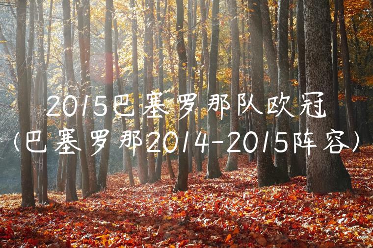 2015巴塞罗那队欧冠(巴塞罗那2014-2015阵容)