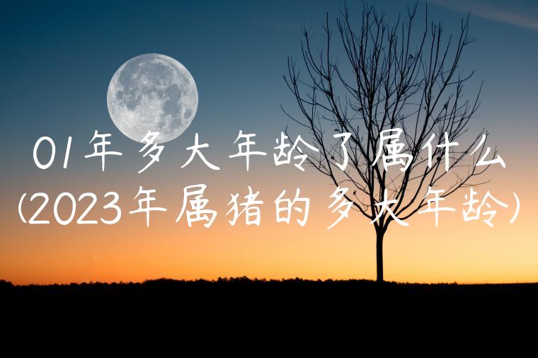 01年多大年龄了属什么(2023年属猪的多大年龄)