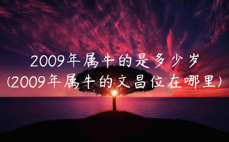 2009年属牛的是多少岁(2009年属牛的文昌位在哪里)