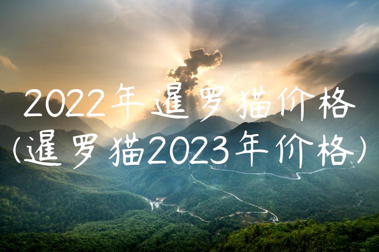 2022年暹罗猫价格(暹罗猫2023年价格)