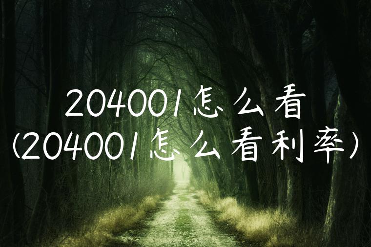 204001怎么看(204001怎么看利率)