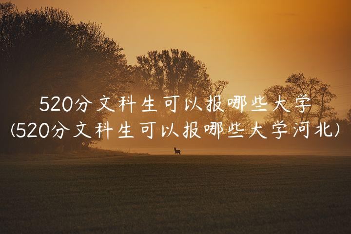 520分文科生可以报哪些大学(520分文科生可以报哪些大学河北)