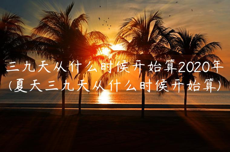 三九天从什么时候开始算2020年(夏天三九天从什么时候开始算)