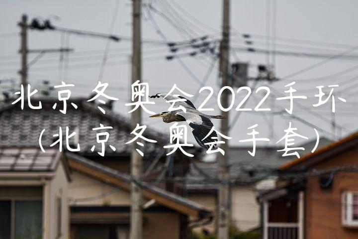 北京冬奥会2022手环(北京冬奥会手套)