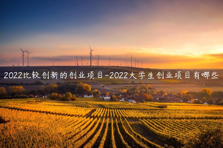 2022比较创新的创业项目-2022大学生创业项目有哪些