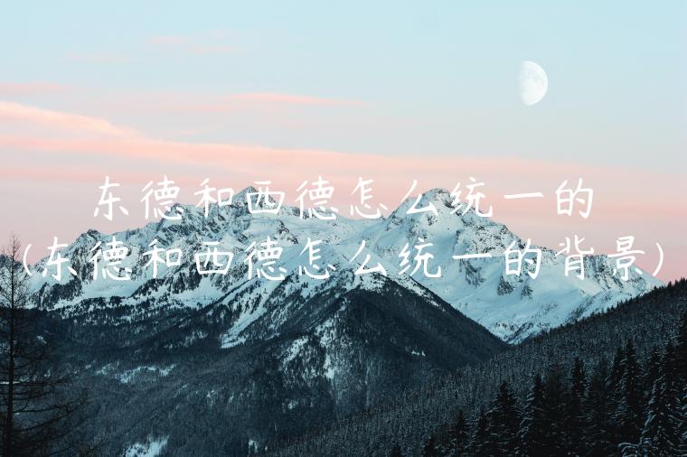 东德和西德怎么统一的(东德和西德怎么统一的背景)