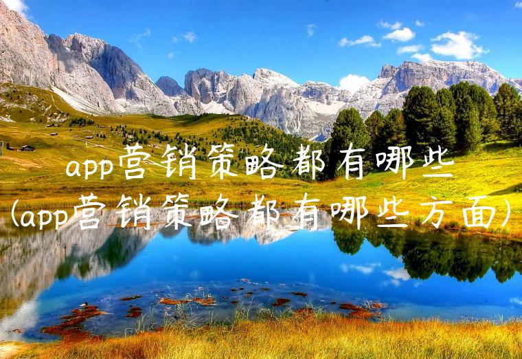 app营销策略都有哪些(app营销策略都有哪些方面)