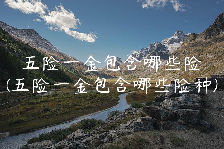 五险一金包含哪些险(五险一金包含哪些险种)