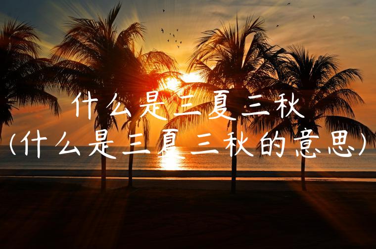 什么是三夏三秋(什么是三夏三秋的意思)