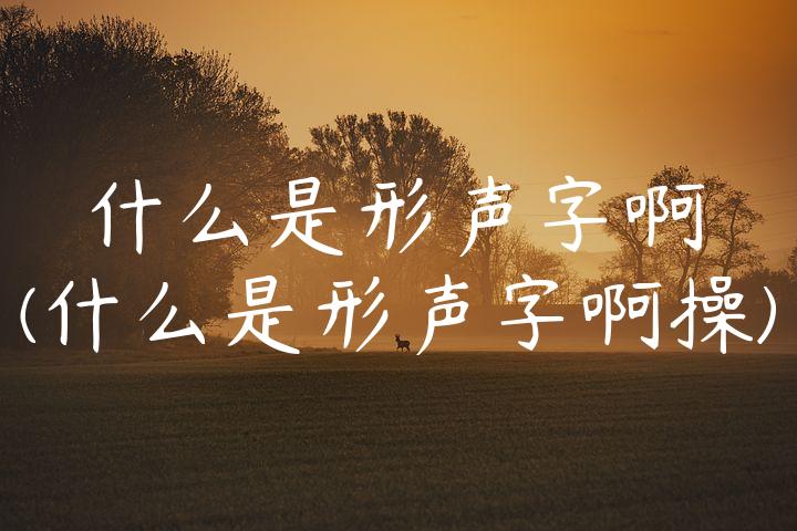 什么是形声字啊(什么是形声字啊操)