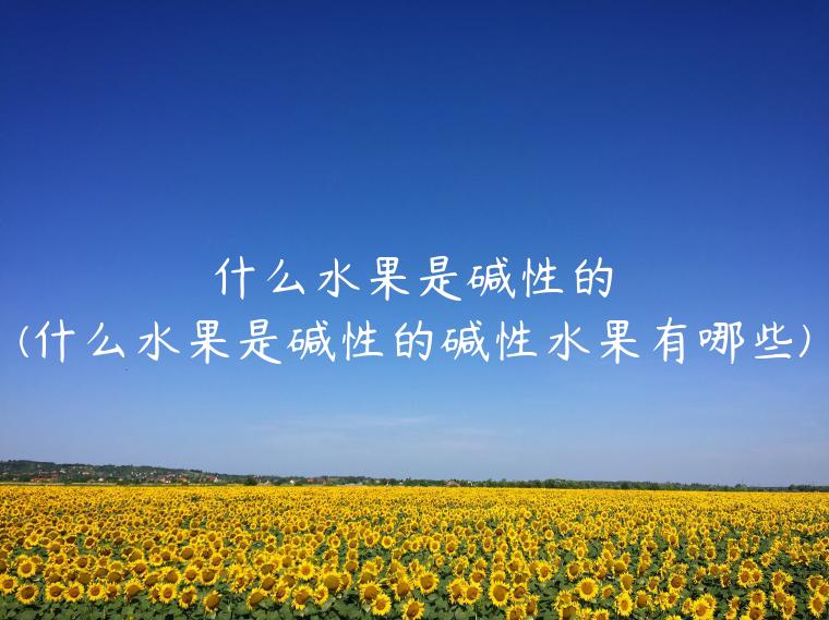 什么水果是碱性的(什么水果是碱性的碱性水果有哪些)