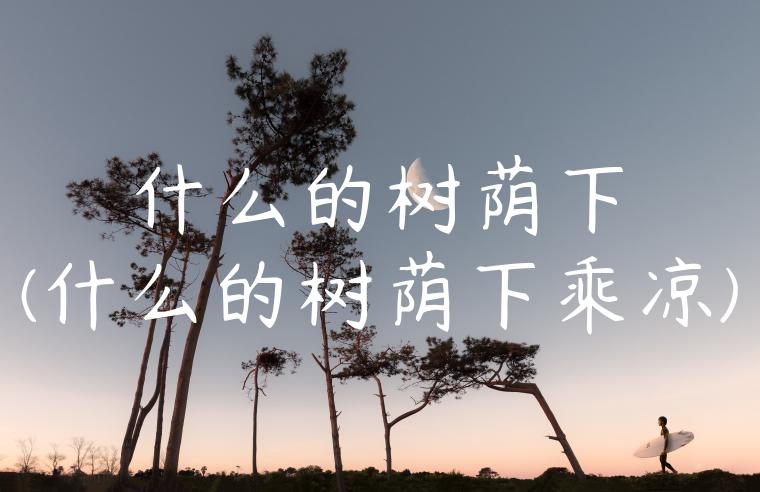 什么的树荫下(什么的树荫下乘凉)