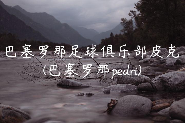 巴塞罗那足球俱乐部皮克(巴塞罗那pedri)