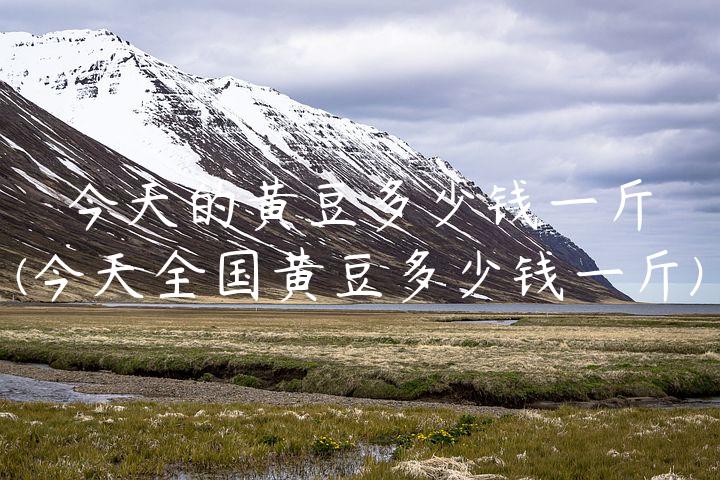 今天的黄豆多少钱一斤(今天全国黄豆多少钱一斤)