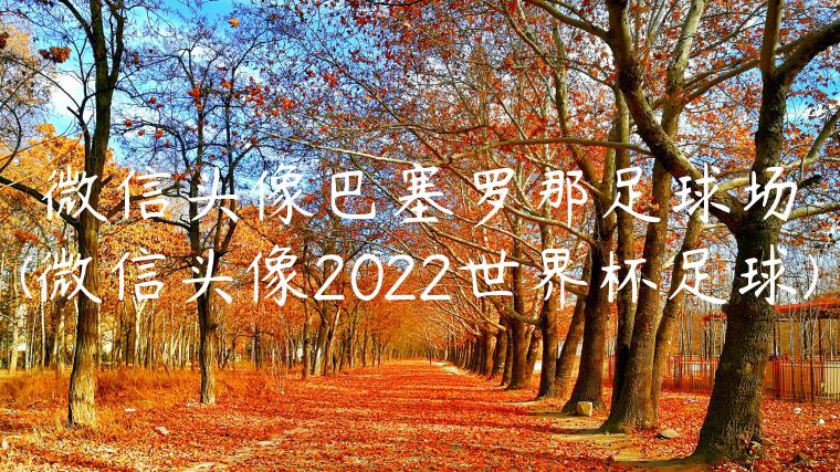 微信头像巴塞罗那足球场(微信头像2022世界杯足球)