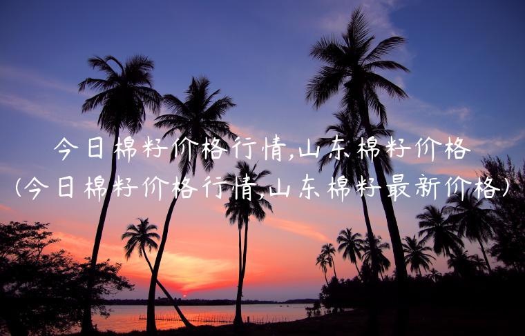 今日棉籽价格行情,山东棉籽价格(今日棉籽价格行情,山东棉籽最新价格)