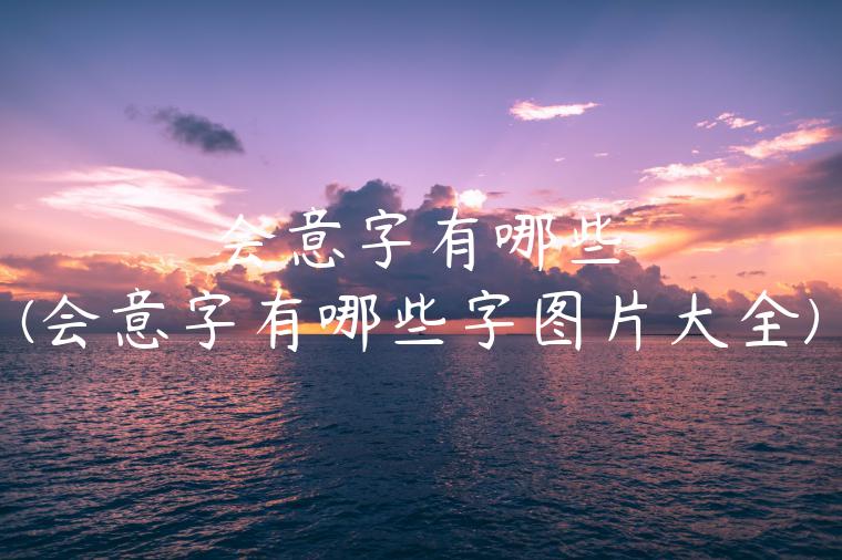 会意字有哪些(会意字有哪些字图片大全)