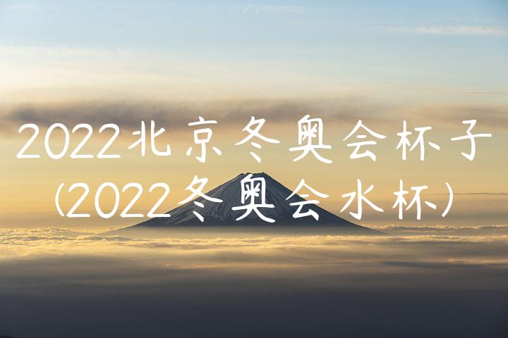 2022北京冬奥会杯子(2022冬奥会水杯)