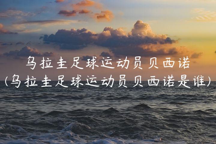 乌拉圭足球运动员贝西诺(乌拉圭足球运动员贝西诺是谁)