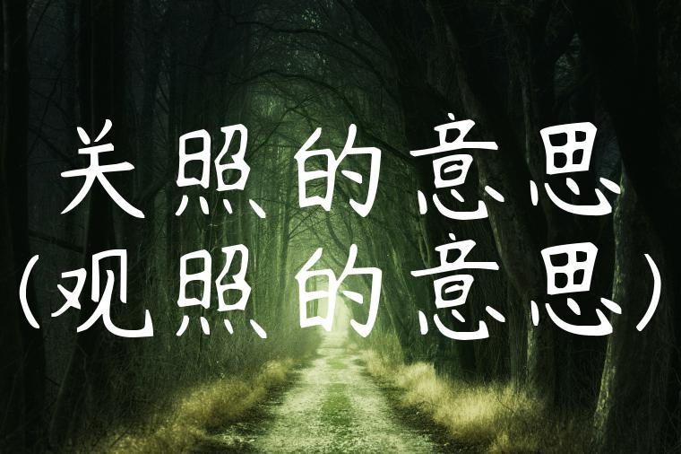 关照的意思(观照的意思)