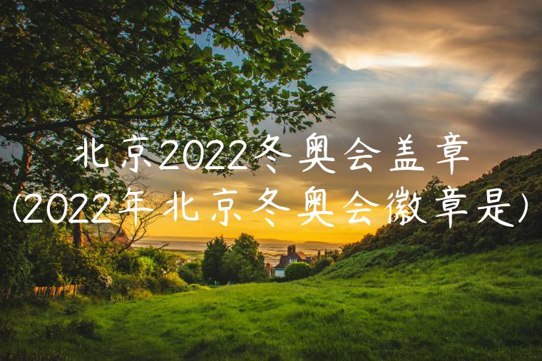 北京2022冬奥会盖章(2022年北京冬奥会徽章是)