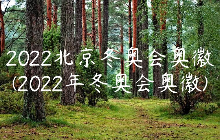 2022北京冬奥会奥徽(2022年冬奥会奥徽)