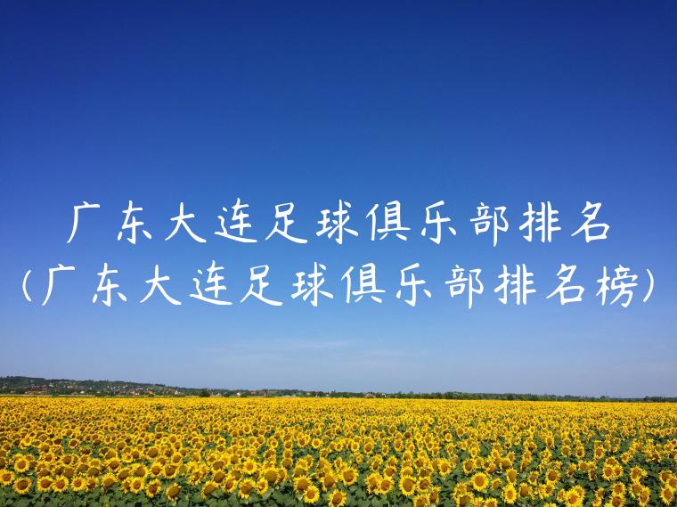 广东大连足球俱乐部排名(广东大连足球俱乐部排名榜)