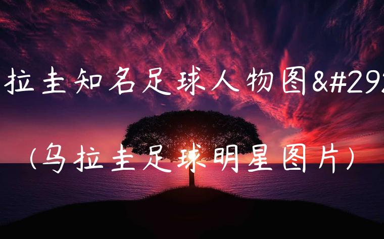 乌拉圭知名足球人物图片(乌拉圭足球明星图片)