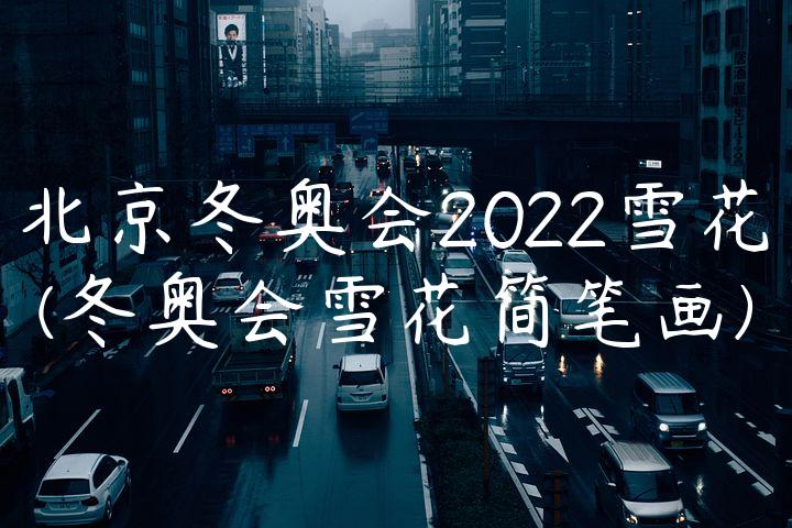 北京冬奥会2022雪花(冬奥会雪花简笔画)