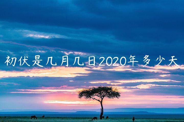 初伏是几月几日2020年多少天