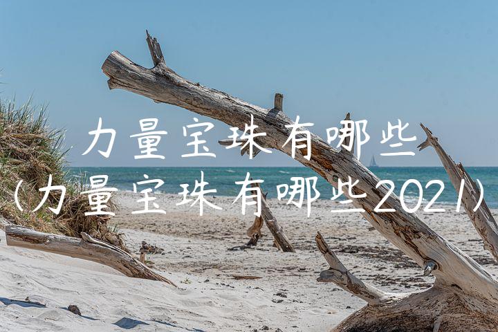 力量宝珠有哪些(力量宝珠有哪些2021)