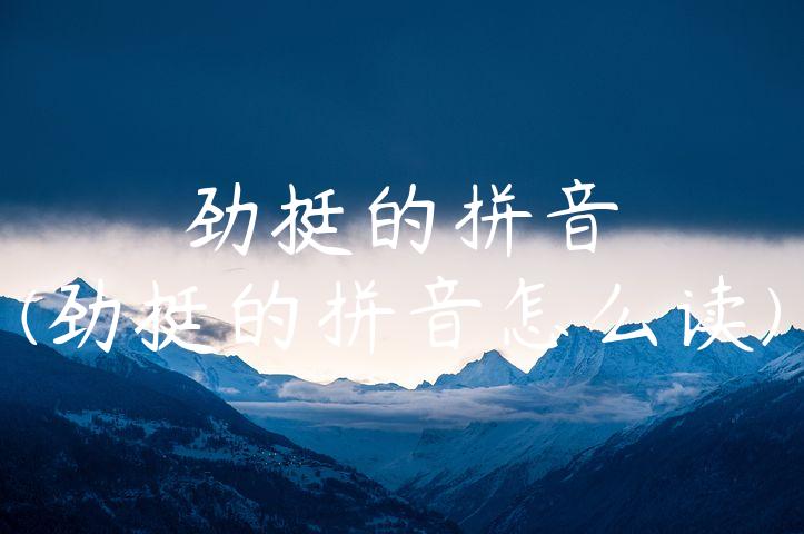 劲挺的拼音(劲挺的拼音怎么读)