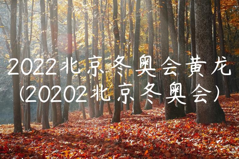 2022北京冬奥会黄龙(20202北京冬奥会)