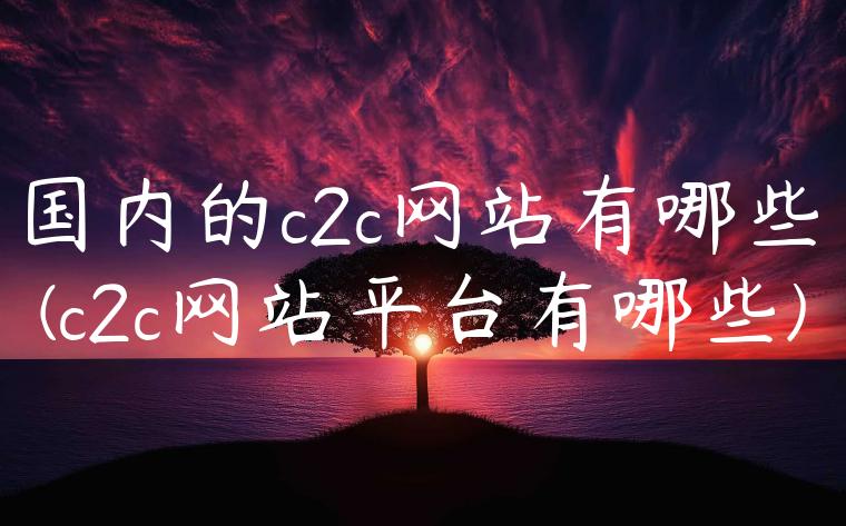 国内的c2c网站有哪些(c2c网站平台有哪些)