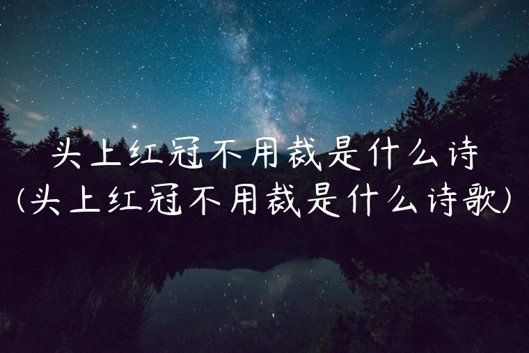 头上红冠不用裁是什么诗(头上红冠不用裁是什么诗歌)