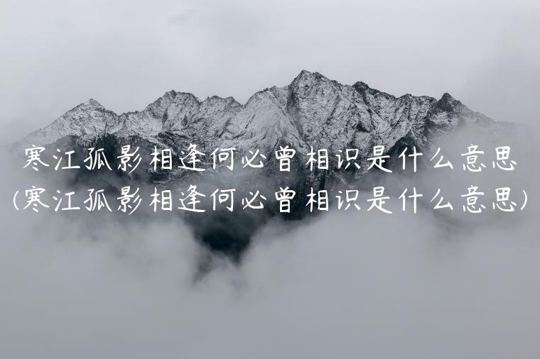 寒江孤影相逢何必曾相识是什么意思(寒江孤影相逢何必曾相识是什么意思)