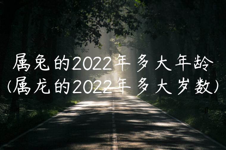 属兔的2022年多大年龄(属龙的2022年多大岁数)