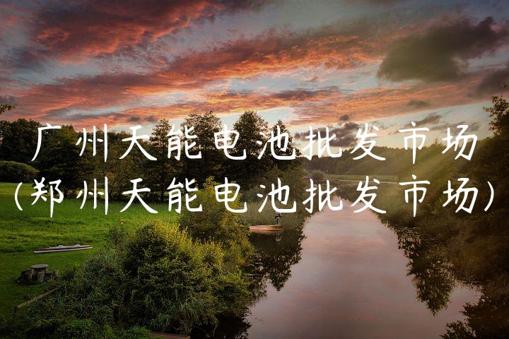 广州天能电池批发市场(郑州天能电池批发市场)