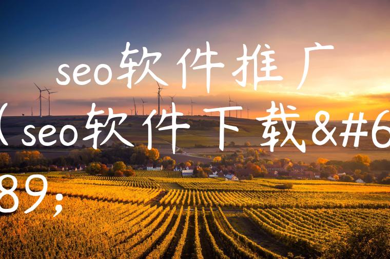 seo软件推广（seo软件下载）