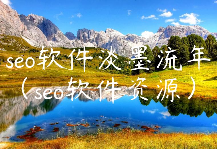 seo软件淡墨流年（seo软件资源）