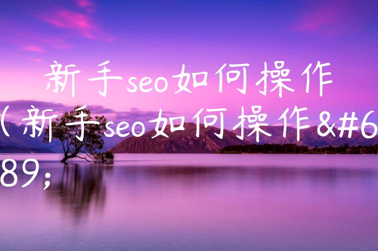 新手seo如何操作（新手seo如何操作）