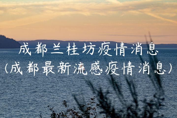 成都兰桂坊疫情消息(成都最新流感疫情消息)