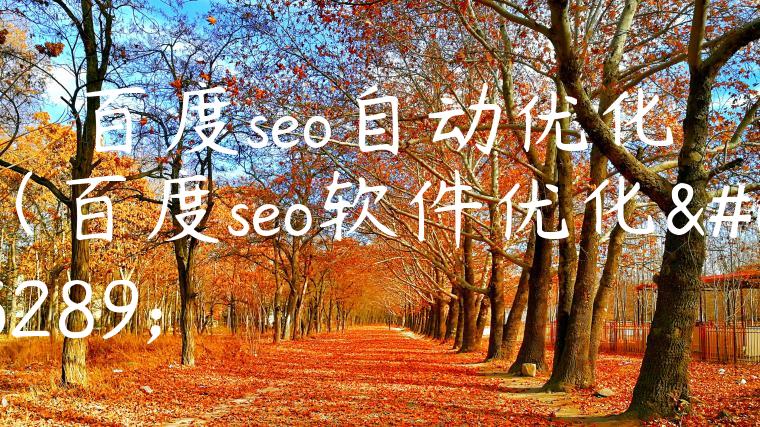 百度seo自动优化（百度seo软件优化）