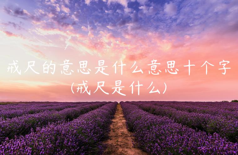 戒尺的意思是什么意思十个字(戒尺是什么)