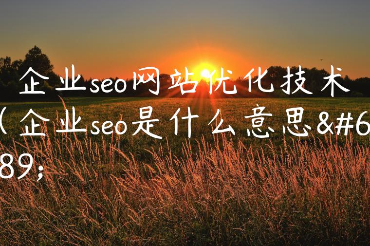 企业seo网站优化技术（企业seo是什么意思）