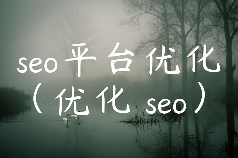 seo平台优化（优化 seo）